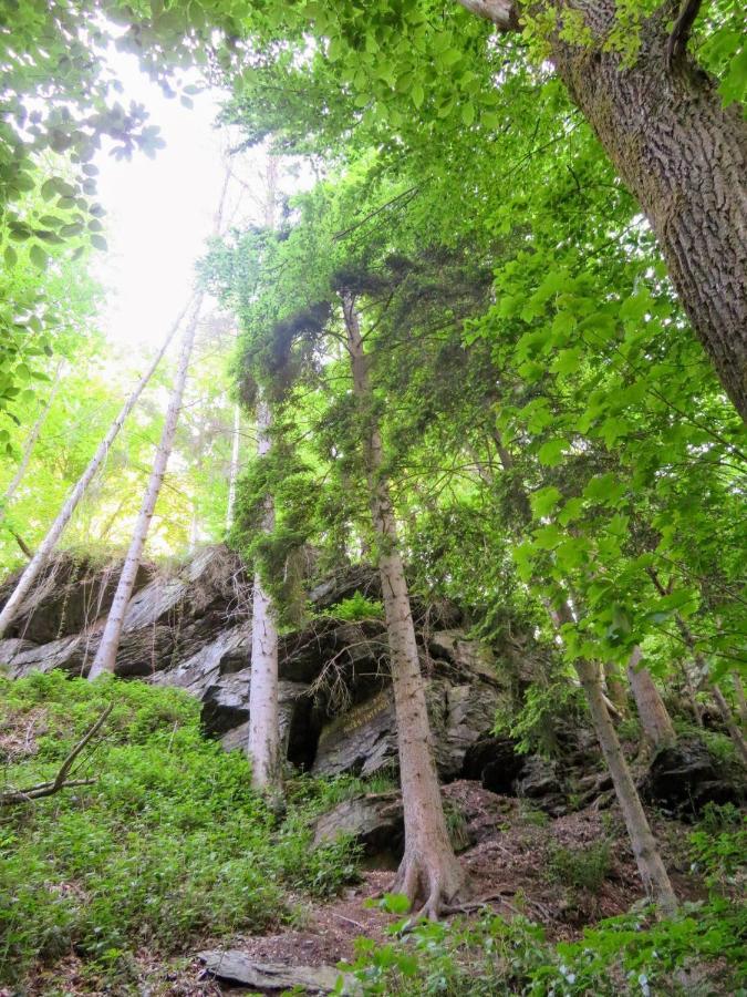 Chez Petit Gust Welkom In La Roche En Ardenne Zewnętrze zdjęcie